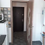 Garsoniera Sorin 아파트