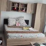 아파트 Garsoniera Sorin