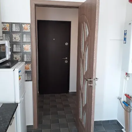 Garsoniera Sorin شقة