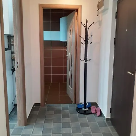 شقة Garsoniera Sorin إيفوري نورد