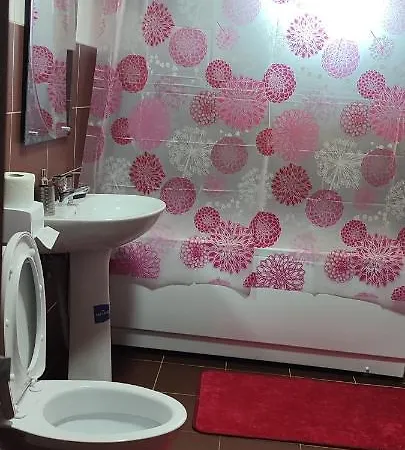 Garsoniera Sorin إيفوري نورد