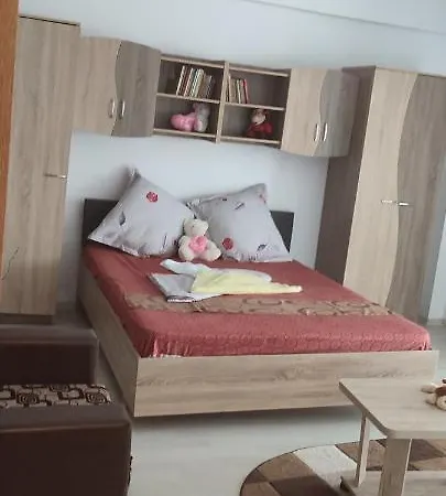 شقة Garsoniera Sorin إيفوري نورد