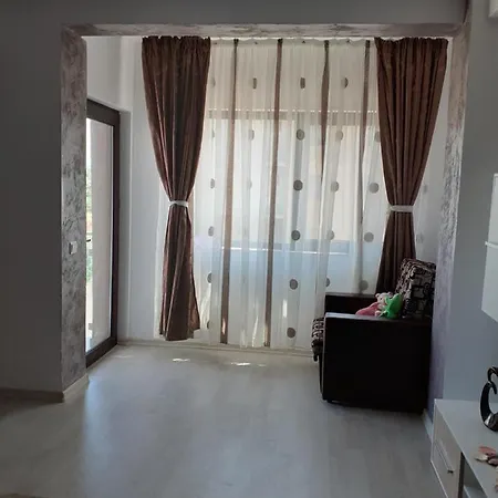 דירה Garsoniera Sorin אפורי נורד