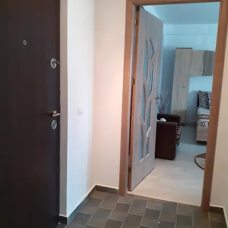 דירה Garsoniera Sorin אפורי נורד