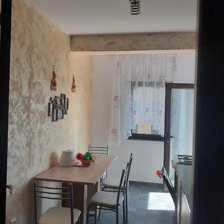 Garsoniera Sorin דירה אפורי נורד