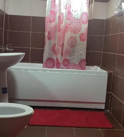 Garsoniera Sorin אפורי נורד