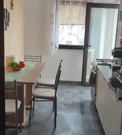 Apartment Garsoniera Sorin