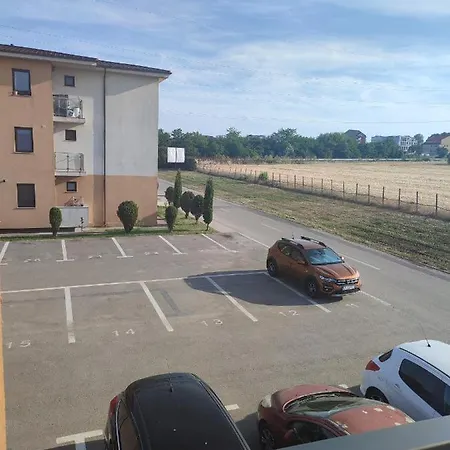 דירה Garsoniera Sorin אפורי נורד