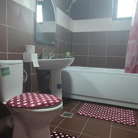 Apartment Garsoniera Sorin