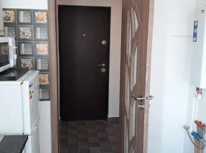 Garsoniera Sorin Апартаменты