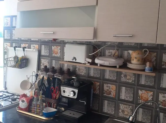 Апартаменты Garsoniera Sorin *