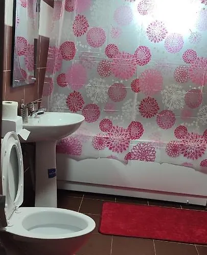 Garsoniera Sorin Эфорие Норд