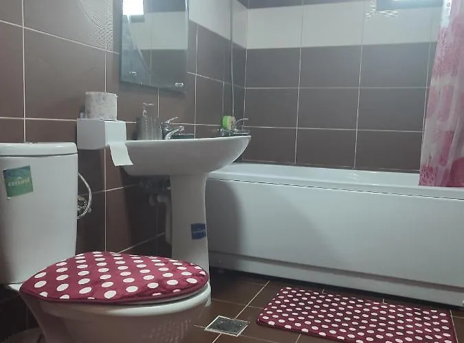 Apartament Garsoniera Sorin