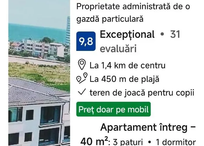 Апартаменты Garsoniera Sorin